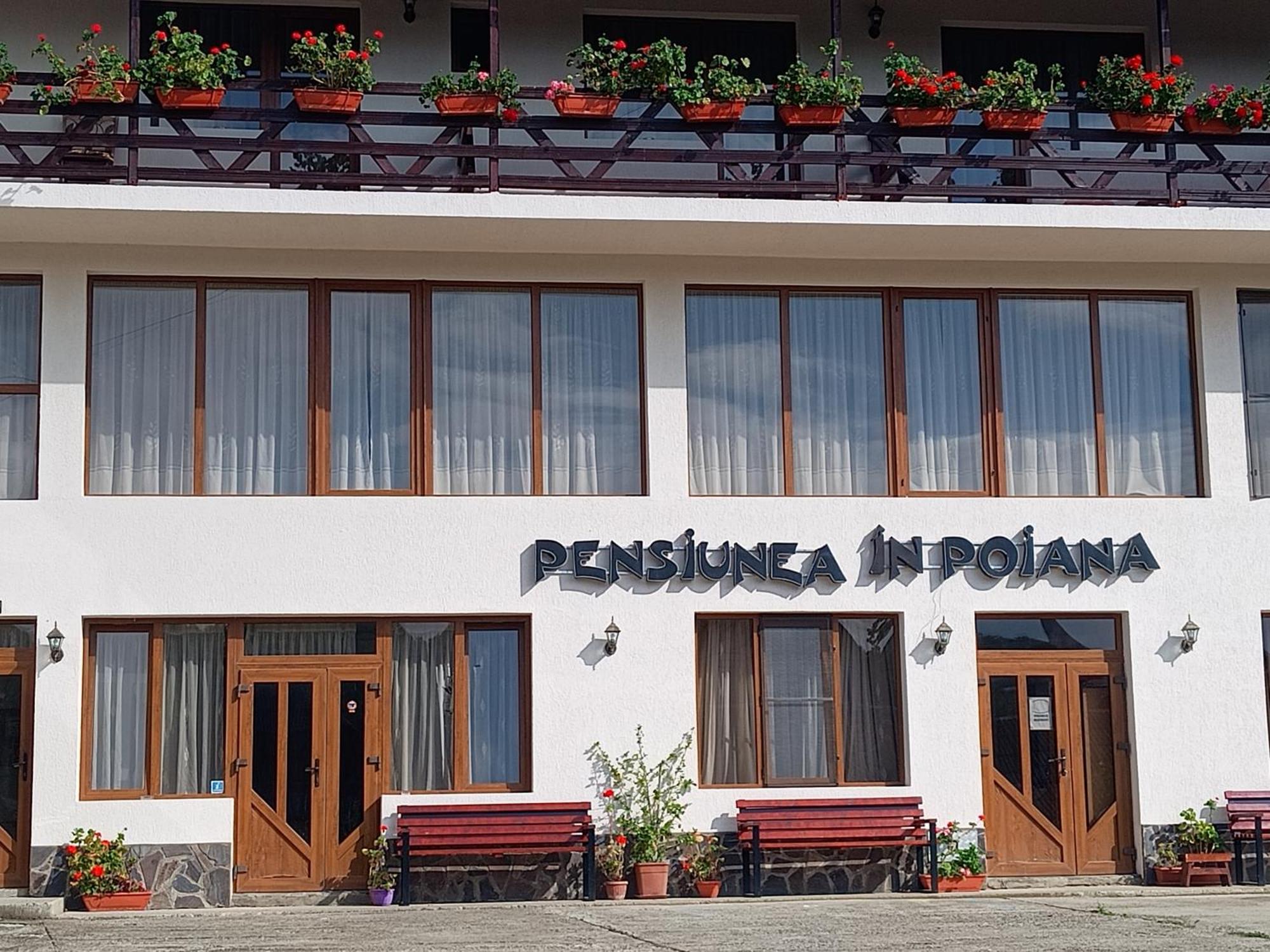 Pensiunea In Poiana Glod  エクステリア 写真